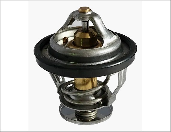 TERMOSTATO SML210